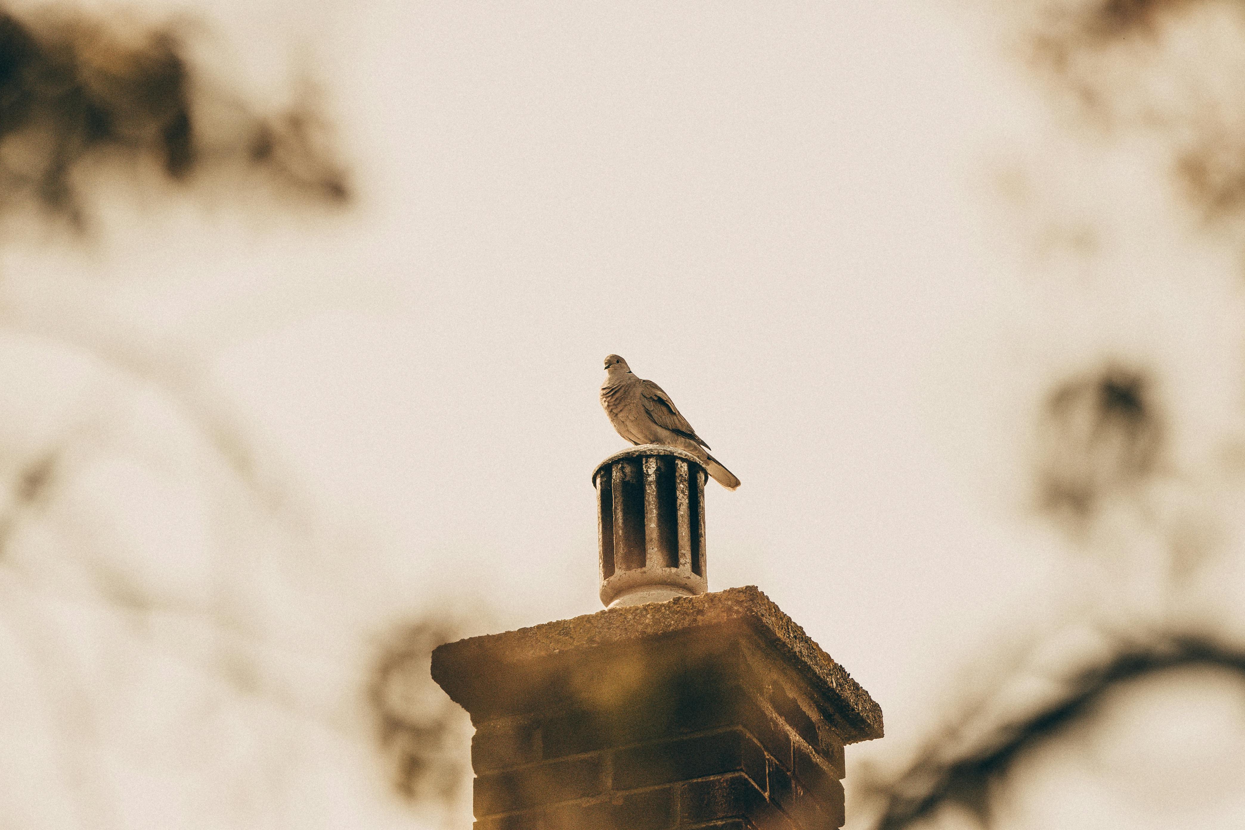 Expert Chimney Cap Installation in Compton, California